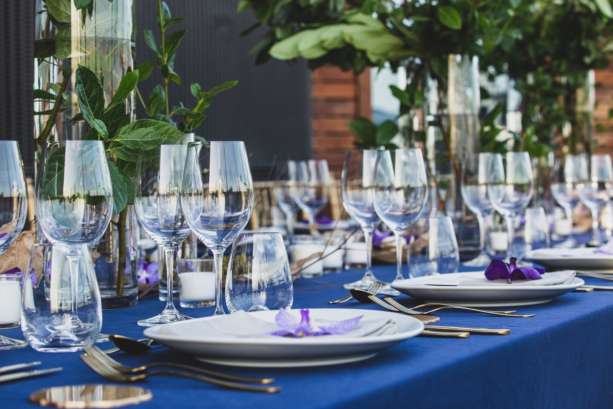 04_irene-pietrella_rennaisance