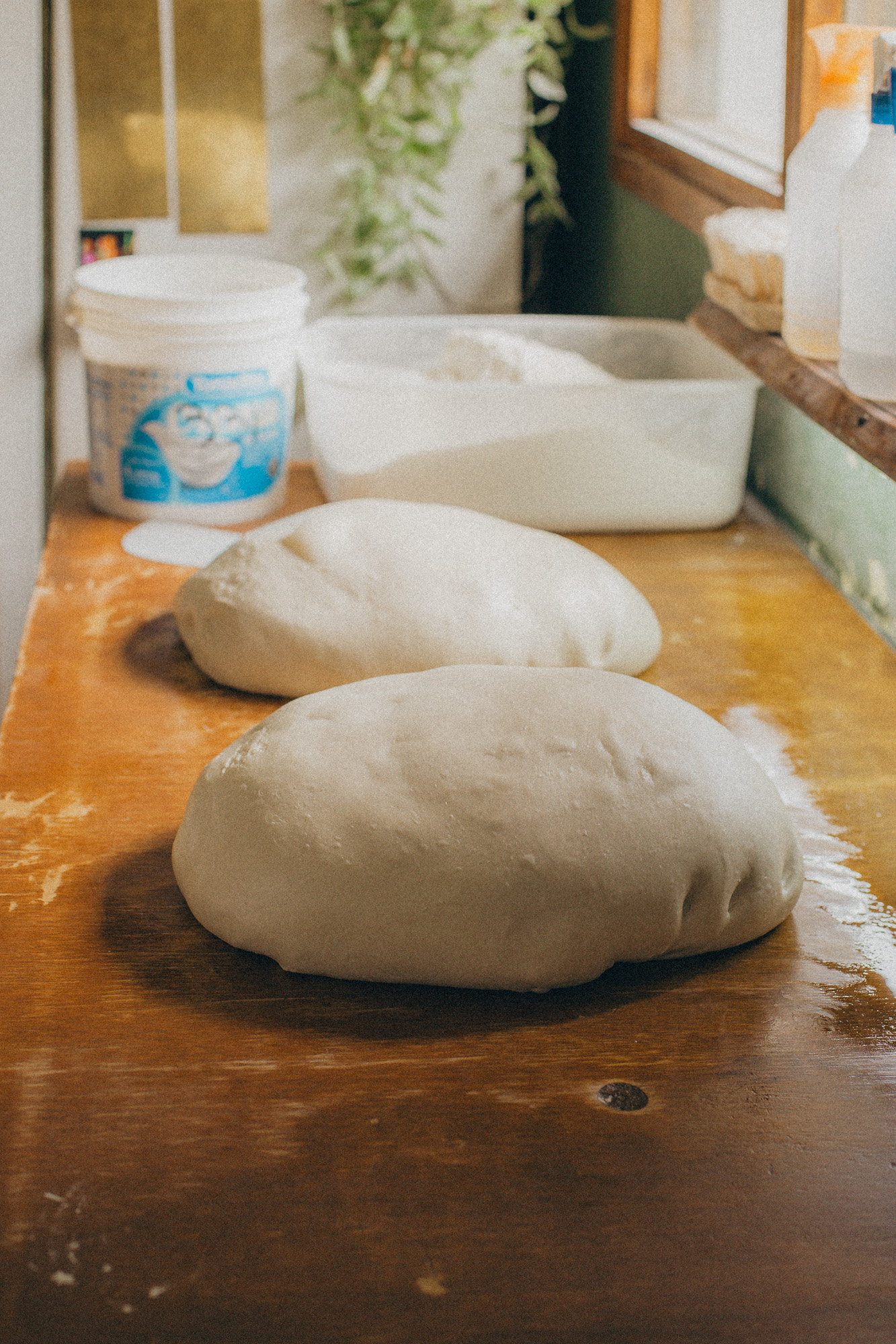 05_irene-pietrella-4221