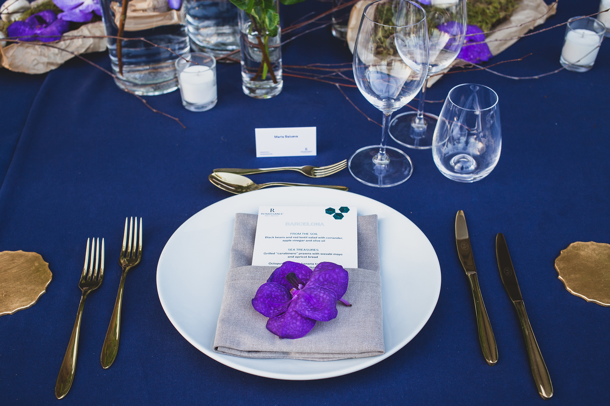 06_irene-pietrella_rennaisance