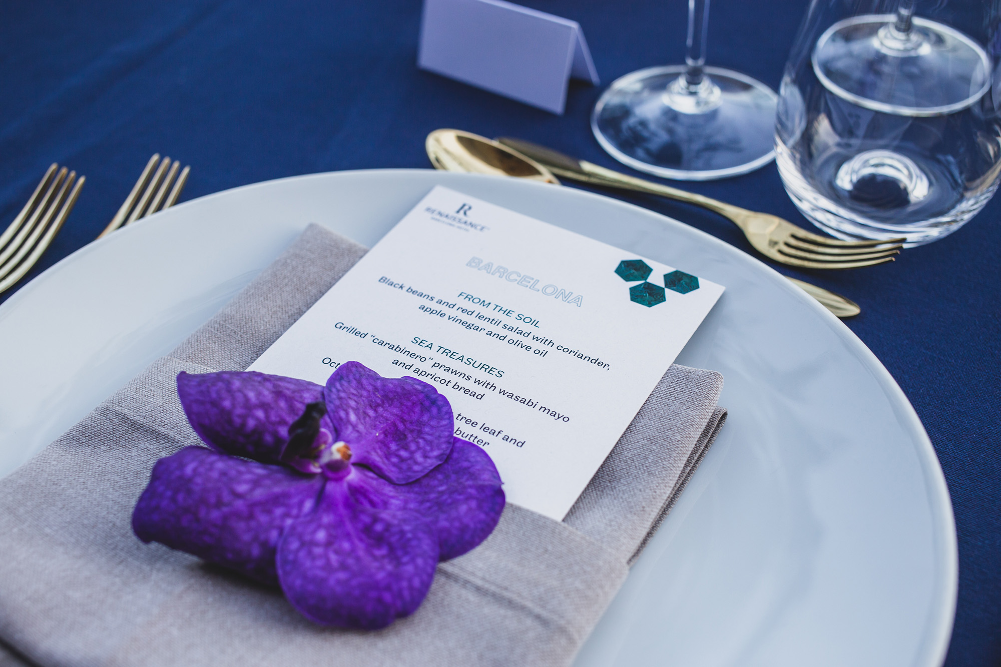 07_irene-pietrella_rennaisance