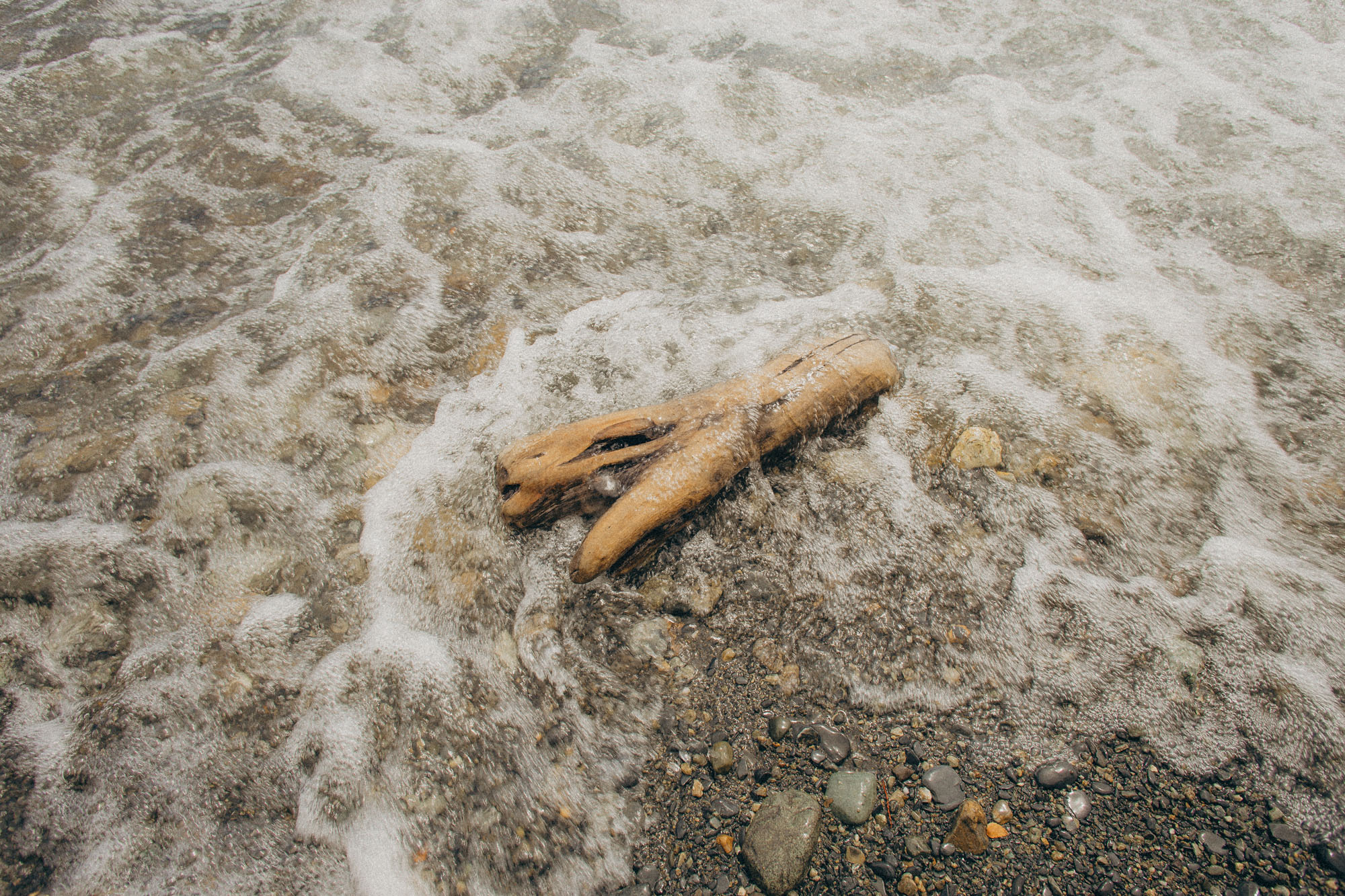 54°34'12.1"S 67°54'23.7"W