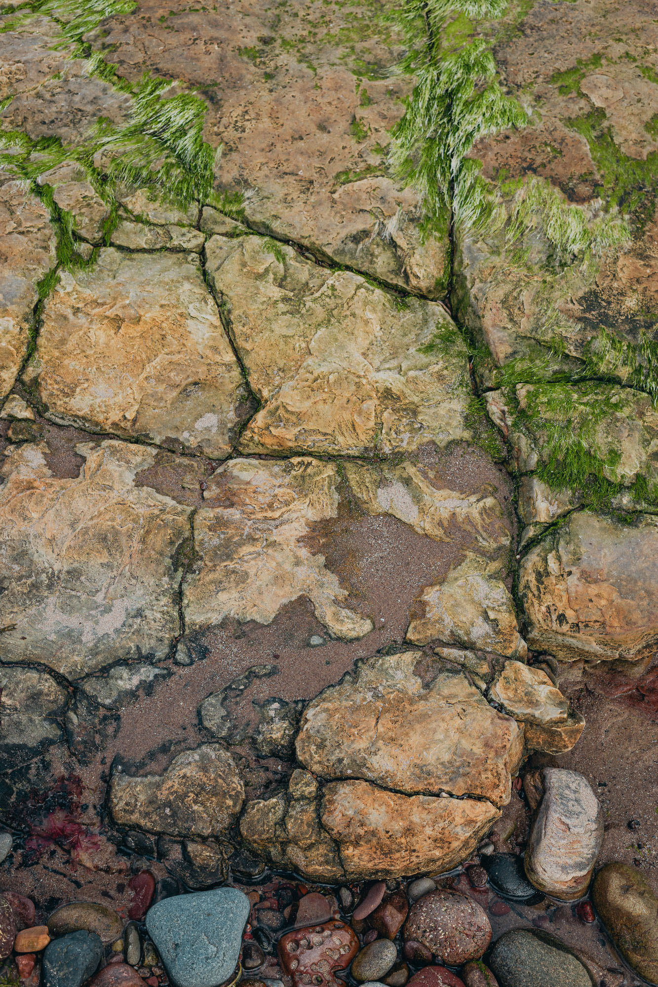 56°03'29.70" N -2°43'22.44" W