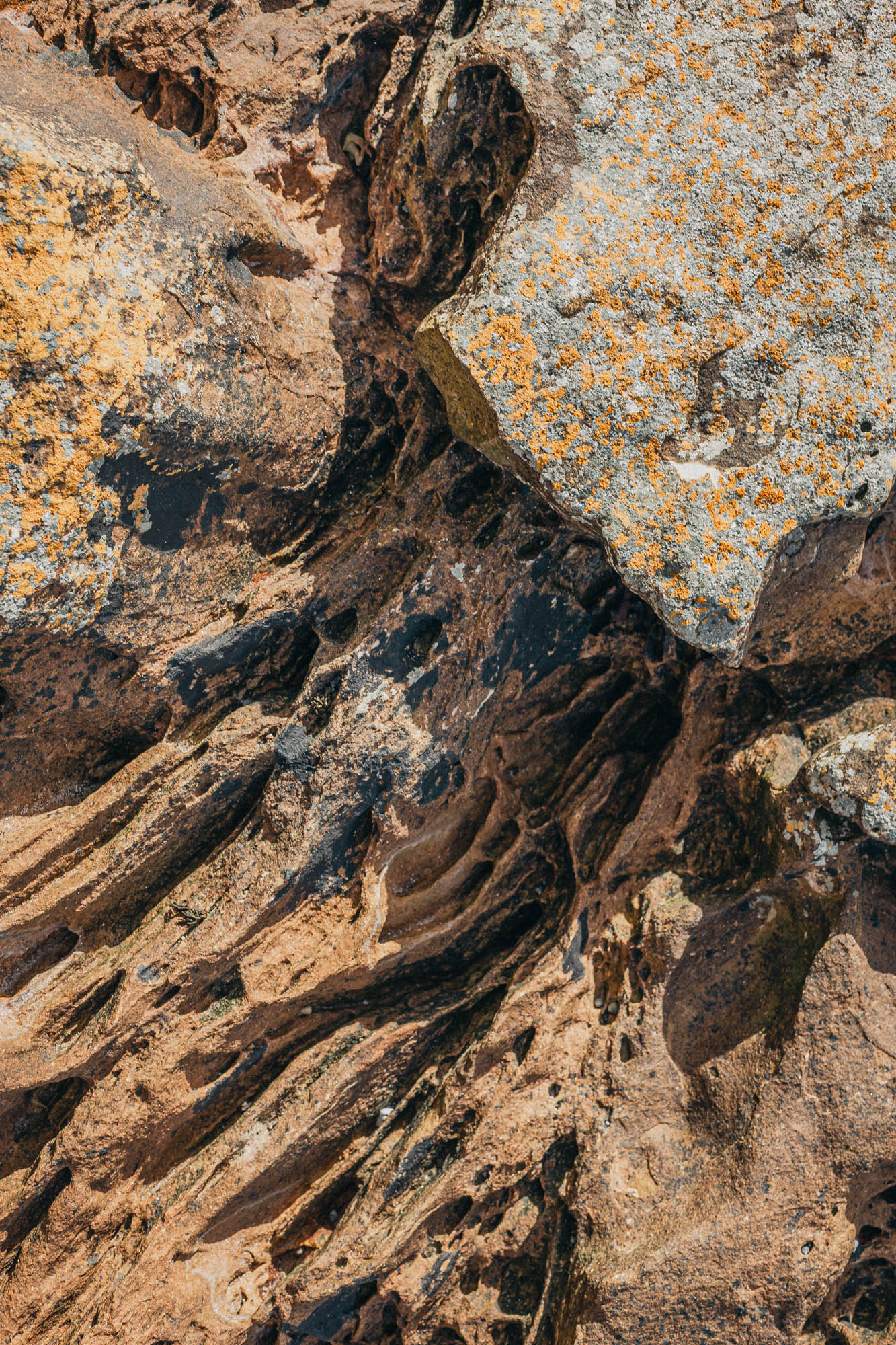 56°03'29.70" N -2°43'22.44" W