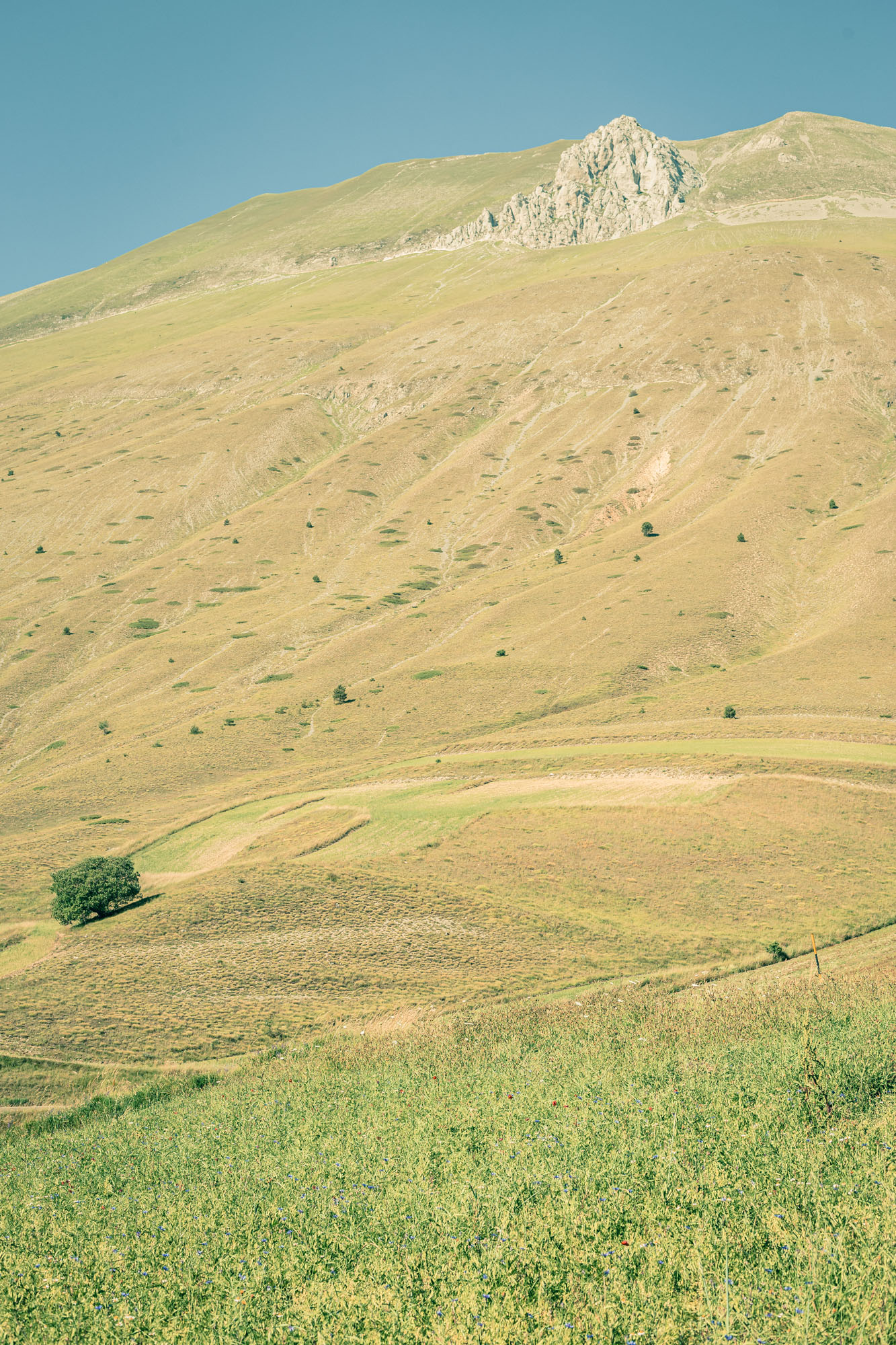 42°49′44.04″N 13°12′20.95″E