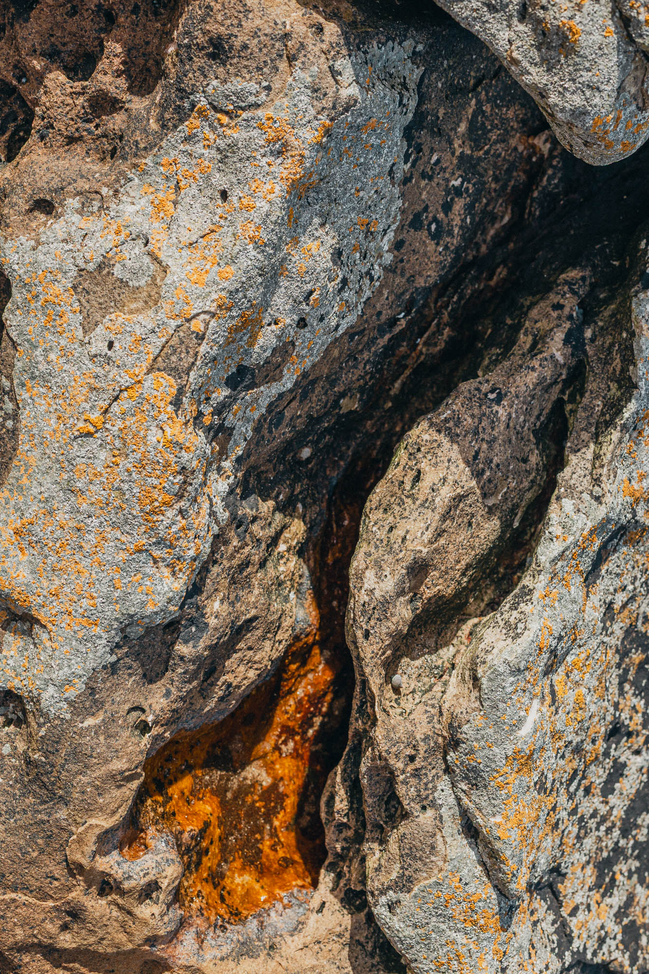 56°03'29.70" N -2°43'22.44" W