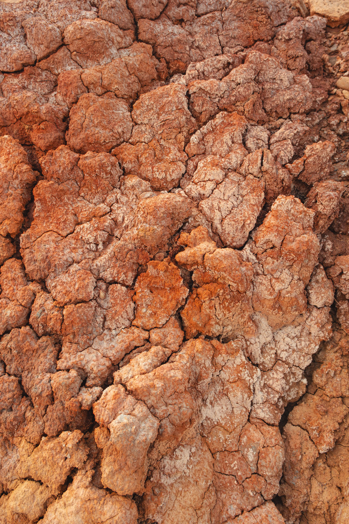 41°37′08″N 0°14′03″O