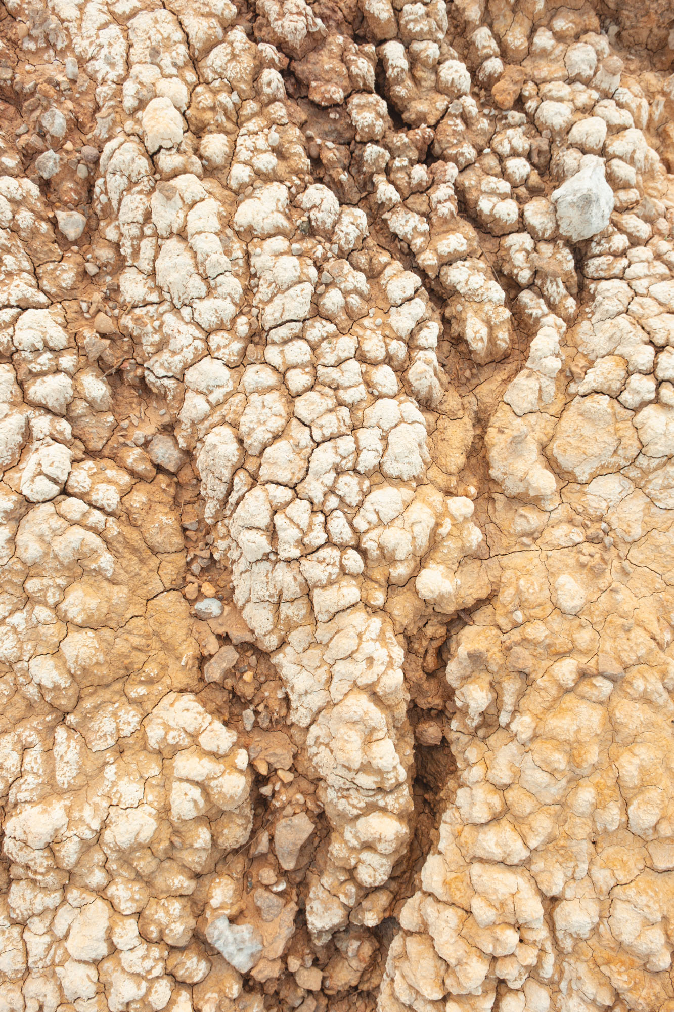 41°37′08″N 0°14′03″O