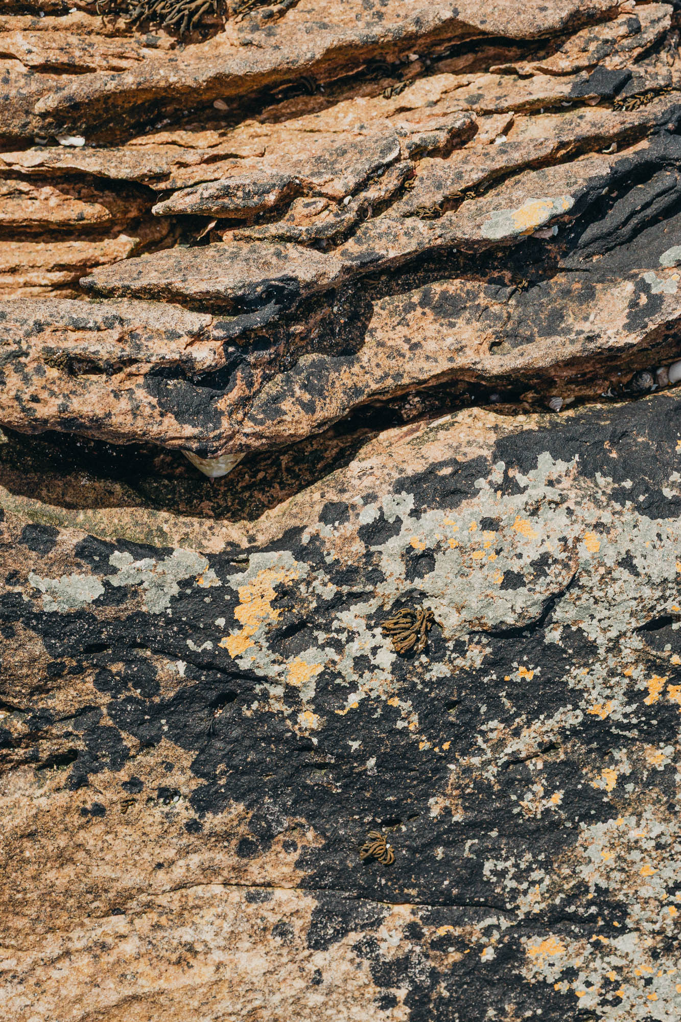 56°03'29.70" N -2°43'22.44" W