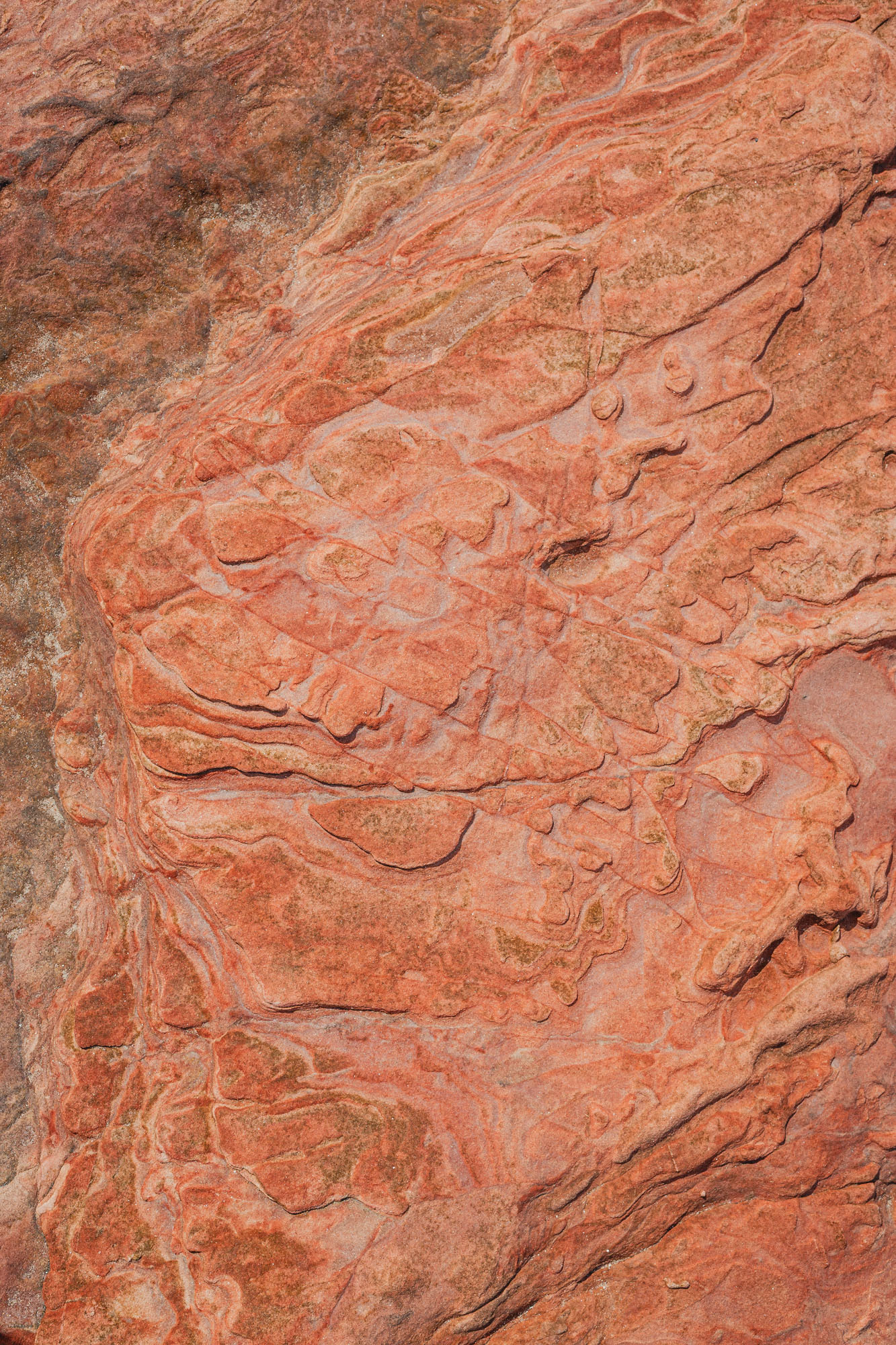 56°03'29.70" N -2°43'22.44" W