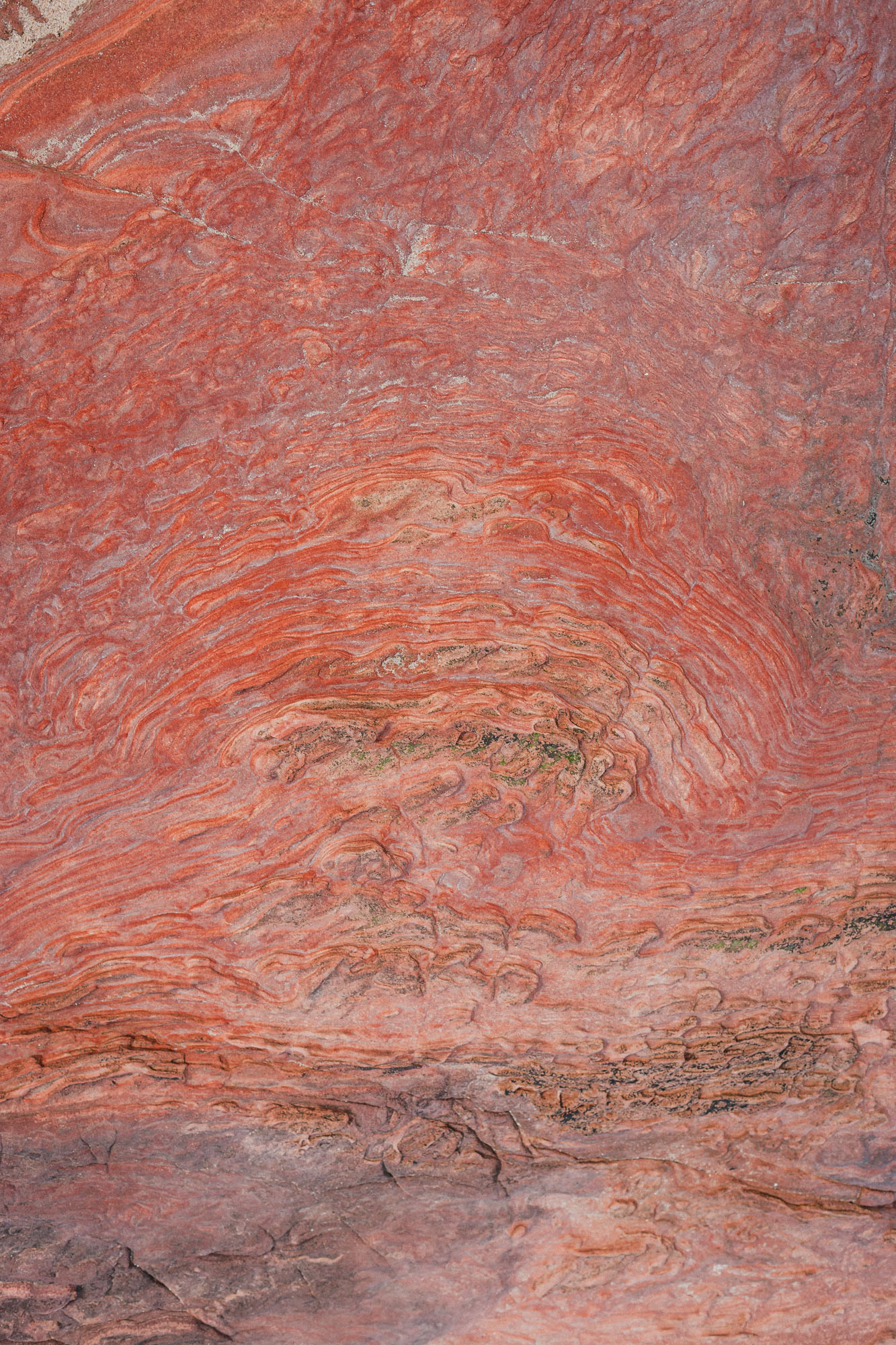 56°03'29.70" N -2°43'22.44" W