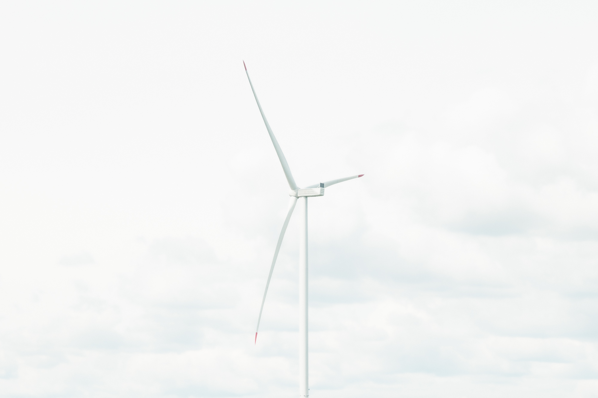 irene-pietrella-1950