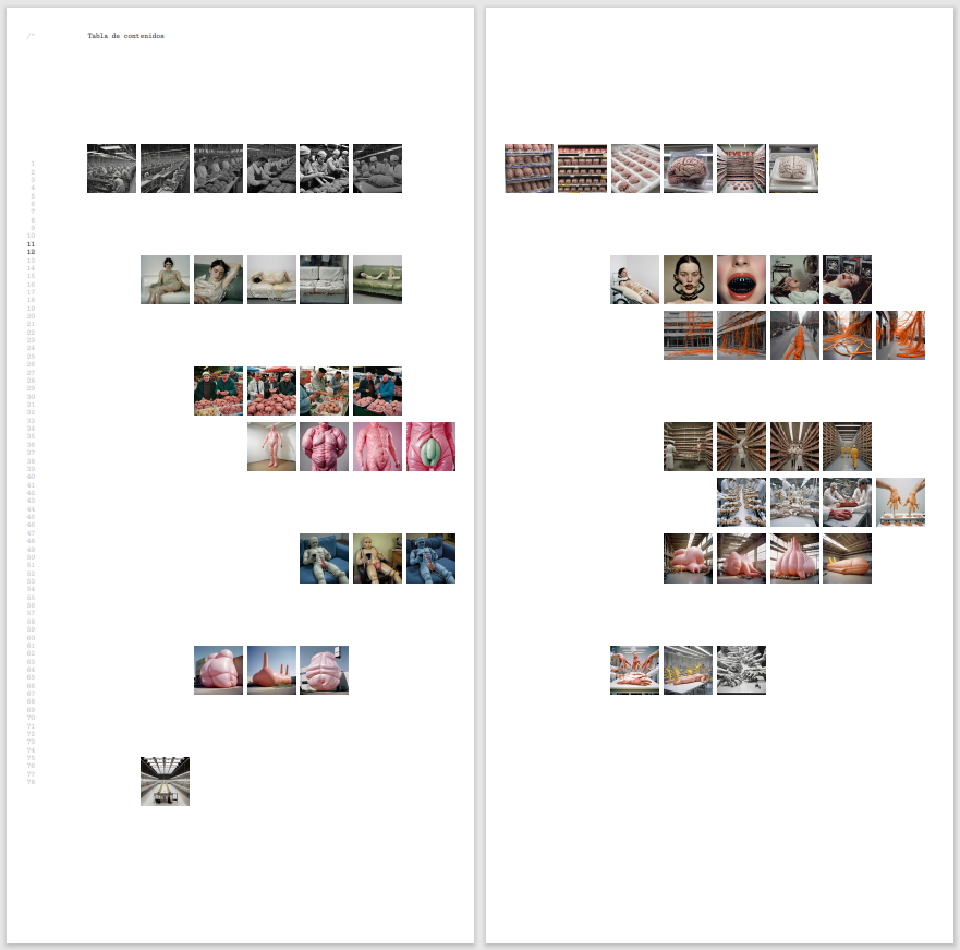 02_carne-sociedad anonima