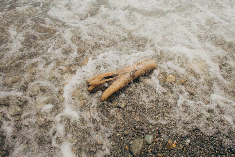 Conceptual photography by Irene Pietrella, focusing on organic forms and light within the 'Visual Topographies' project.